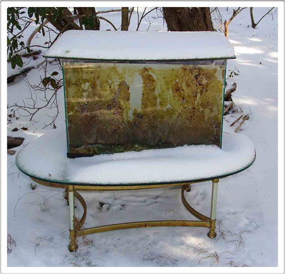 Downtown Austin Galleries