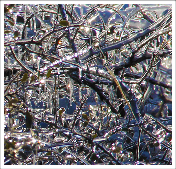 Best Austin Texas Artists