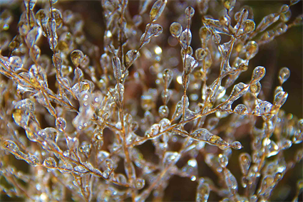 Austin Texas Art Gallery Museum