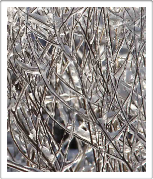 Best Austin Texas Artists